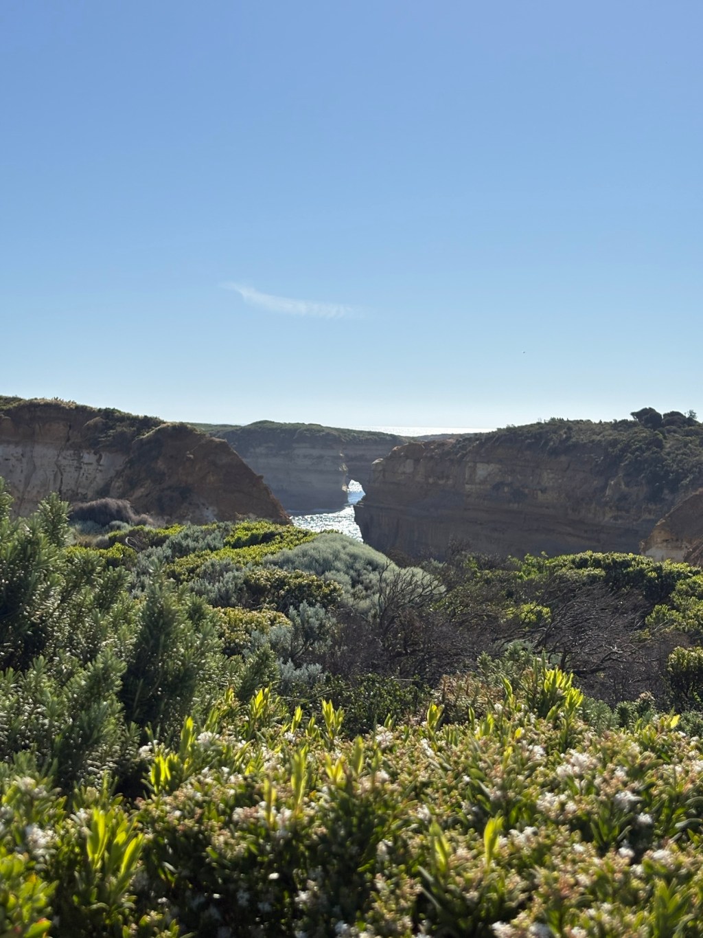 Your reality is a&nbsp;probability